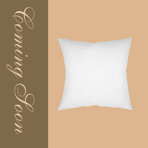 Pillow Inserts